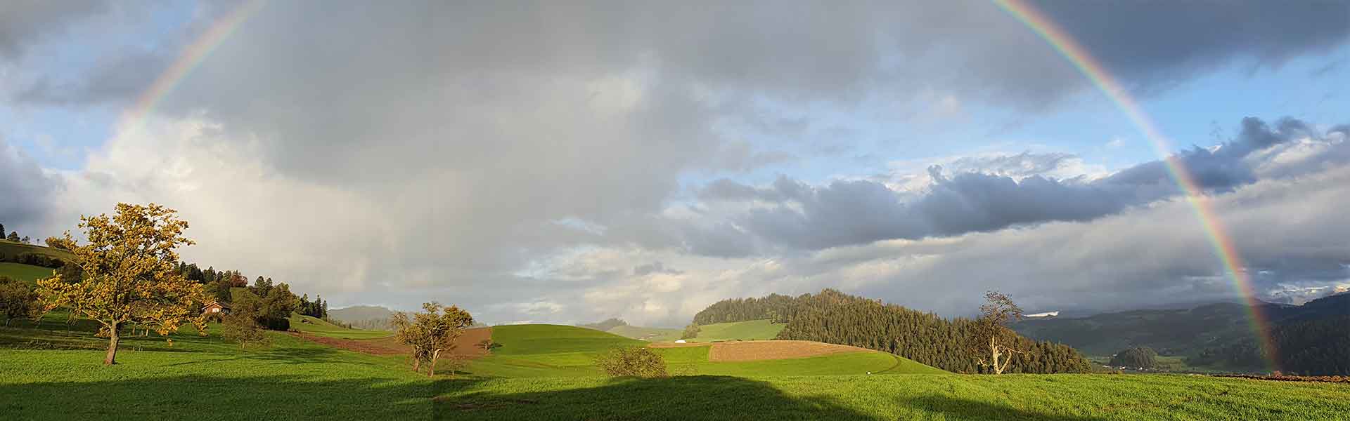 regenbogen (zip)