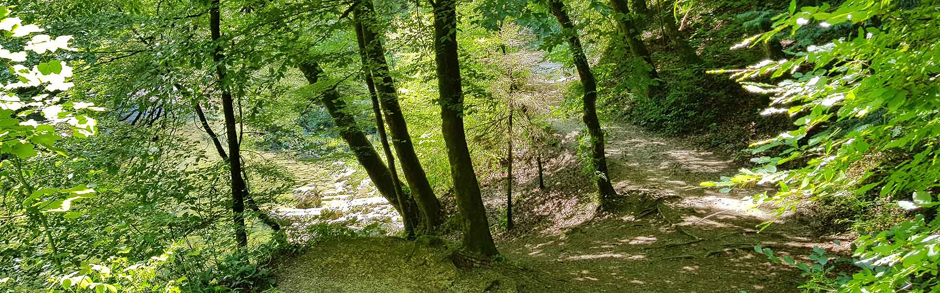 waldweg (zip)